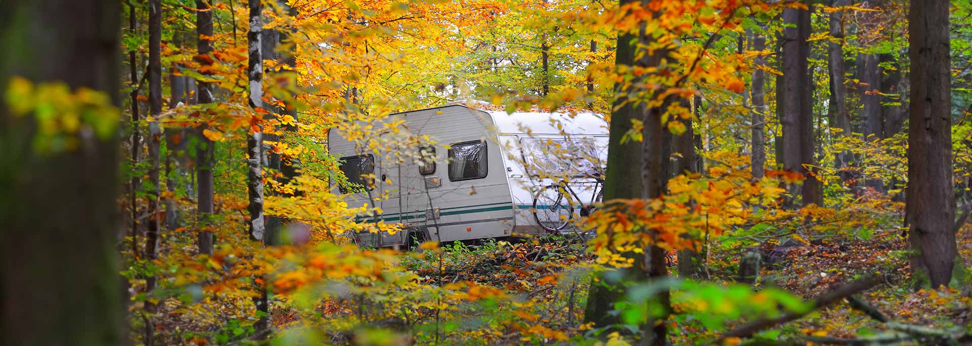 RV Insurance