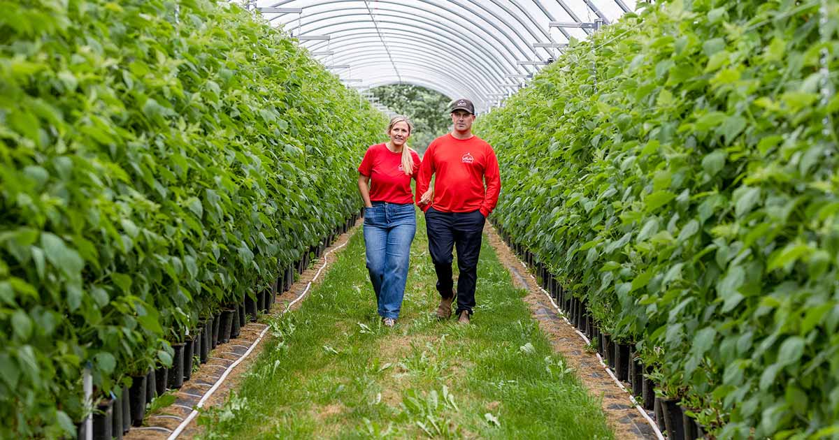 Greenhouse