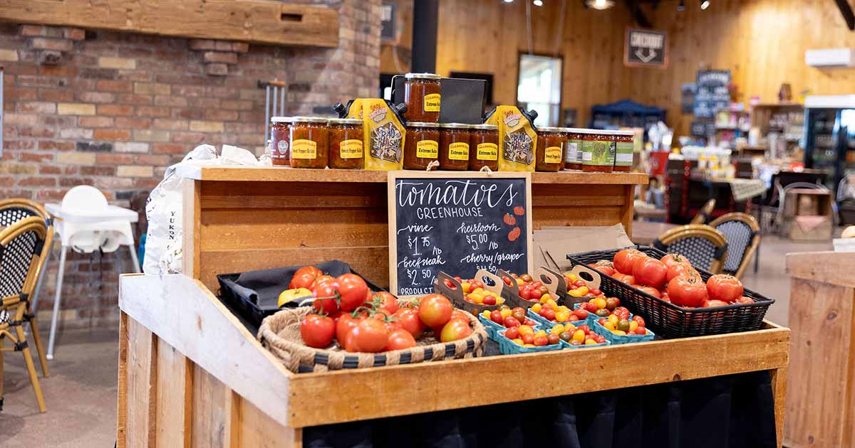 Tomatoes at Willowtree Farm